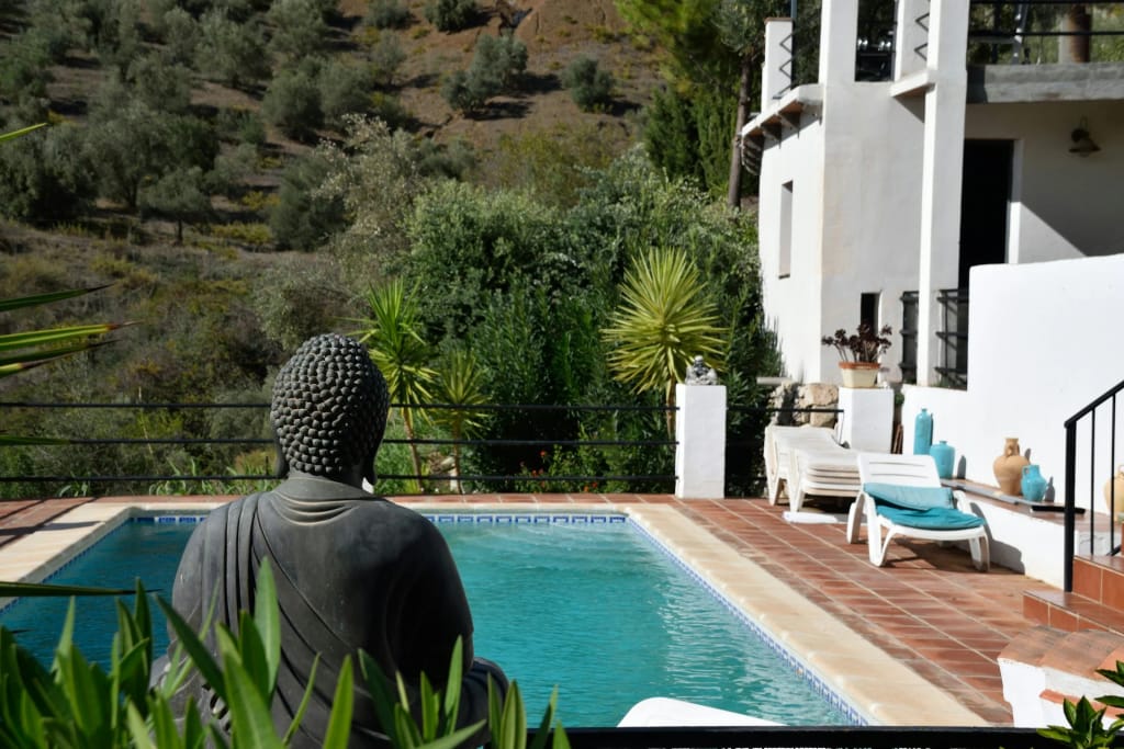 Comment se Débarrasser des Guêpes Autour de la Piscine en 2025 : Guide Complet